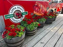 Dip Net restaurant on the docks in Port Clyde.