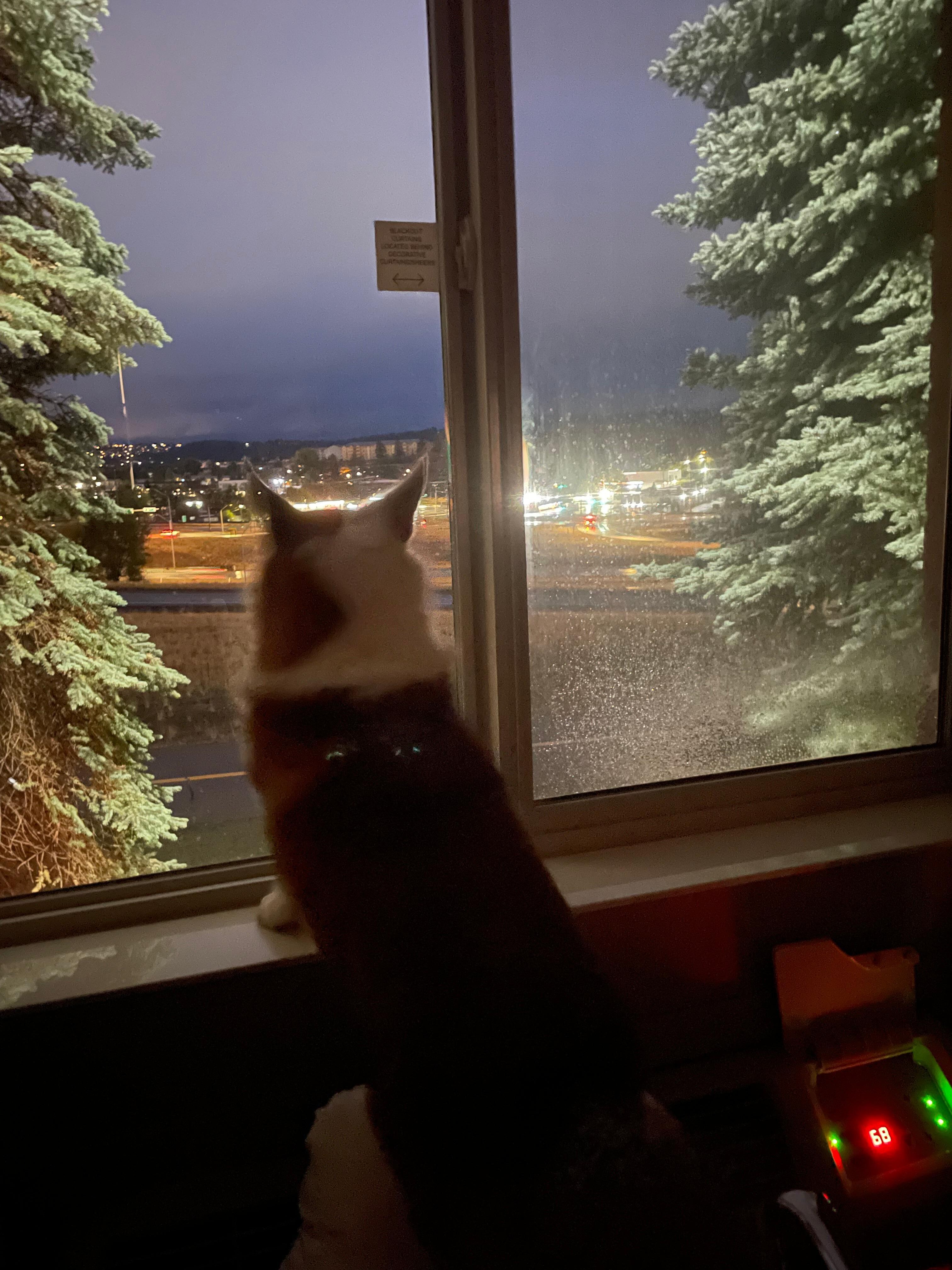 Rainy day in the room 