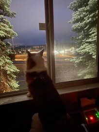 Rainy day in the room