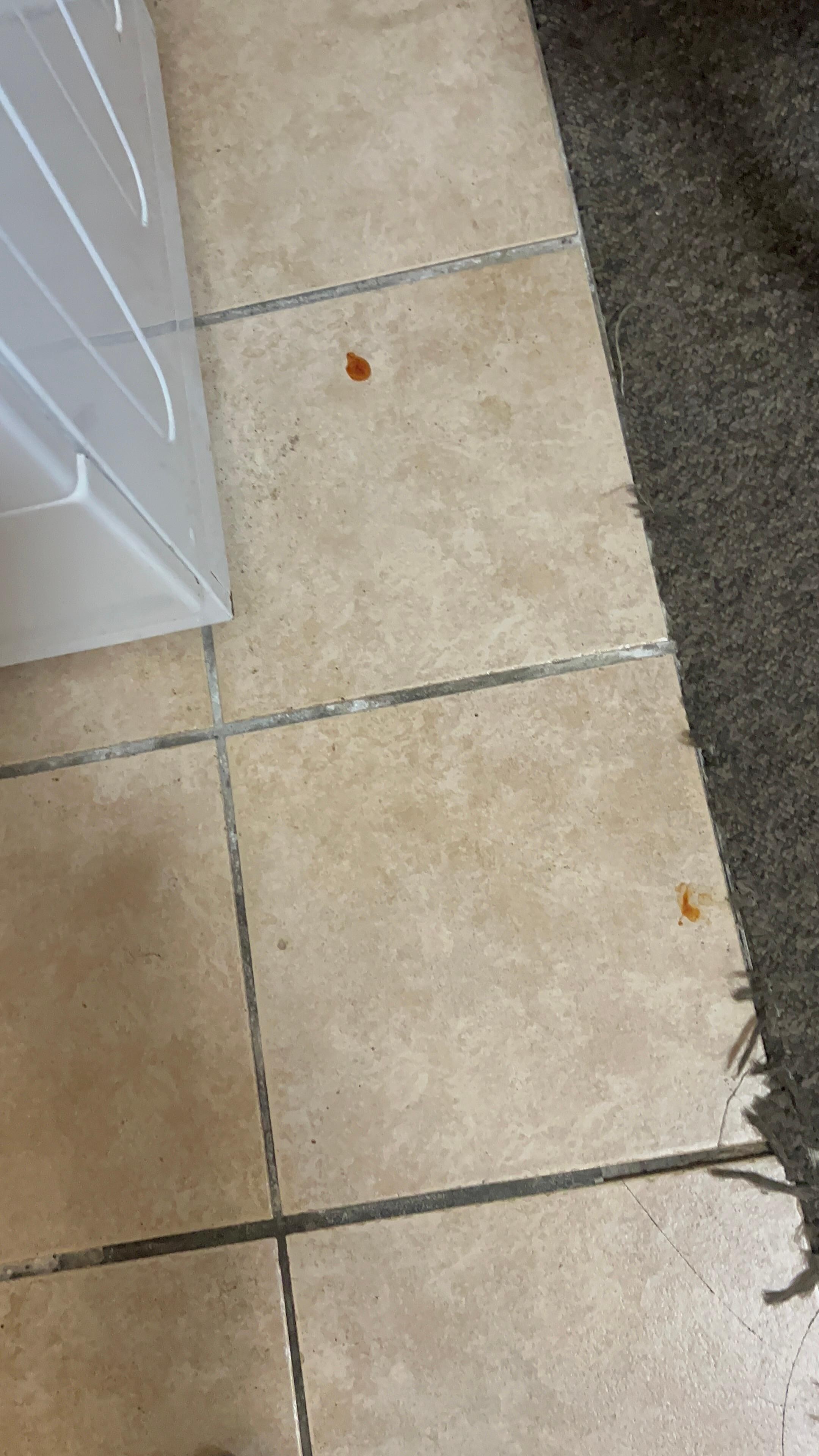 Blood stain on the floor