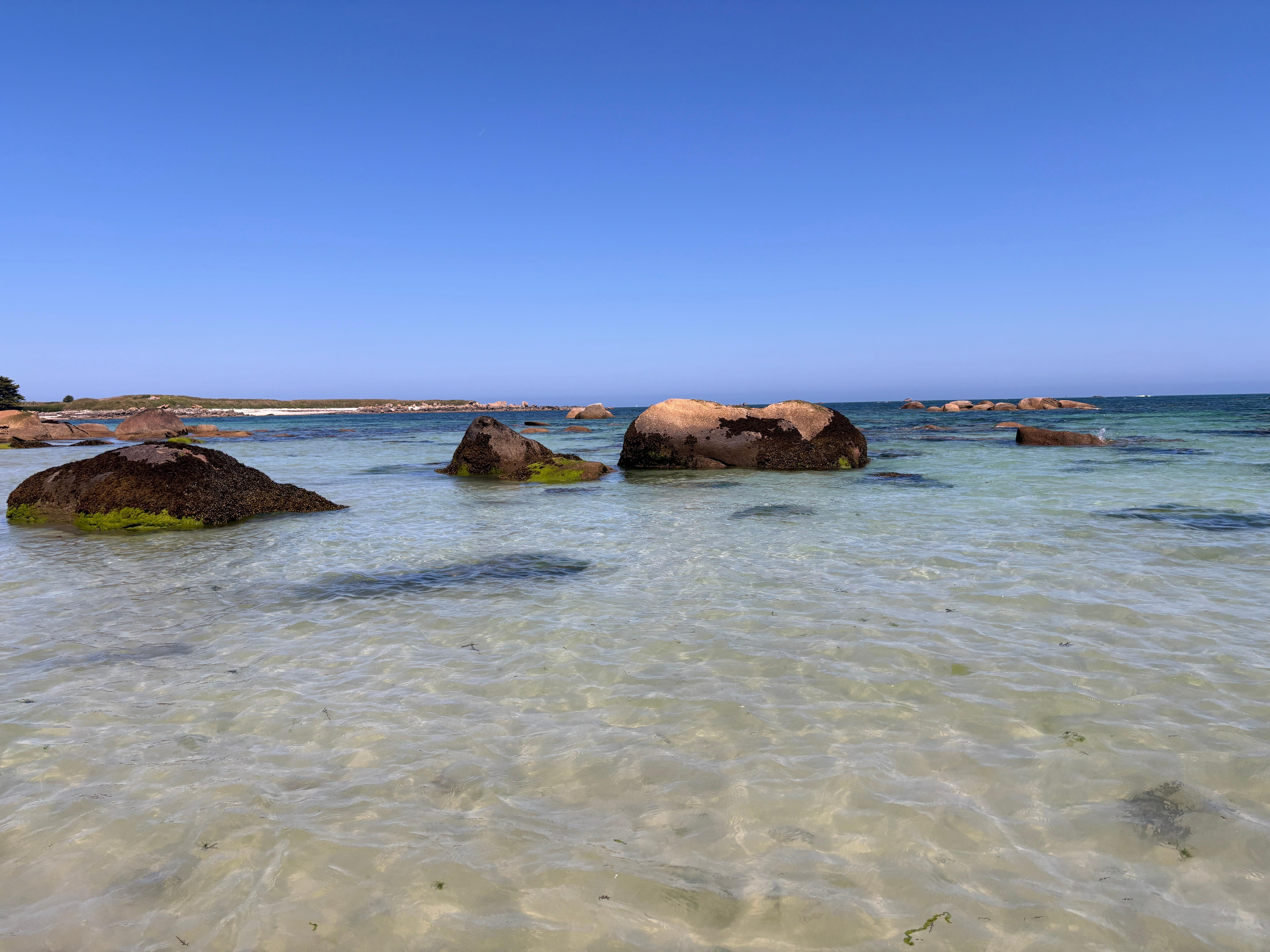 Vidivic beach (dog friendly)