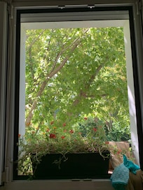 Vue chambre sur le patio