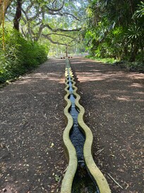 Sunrise view from this VRBO.