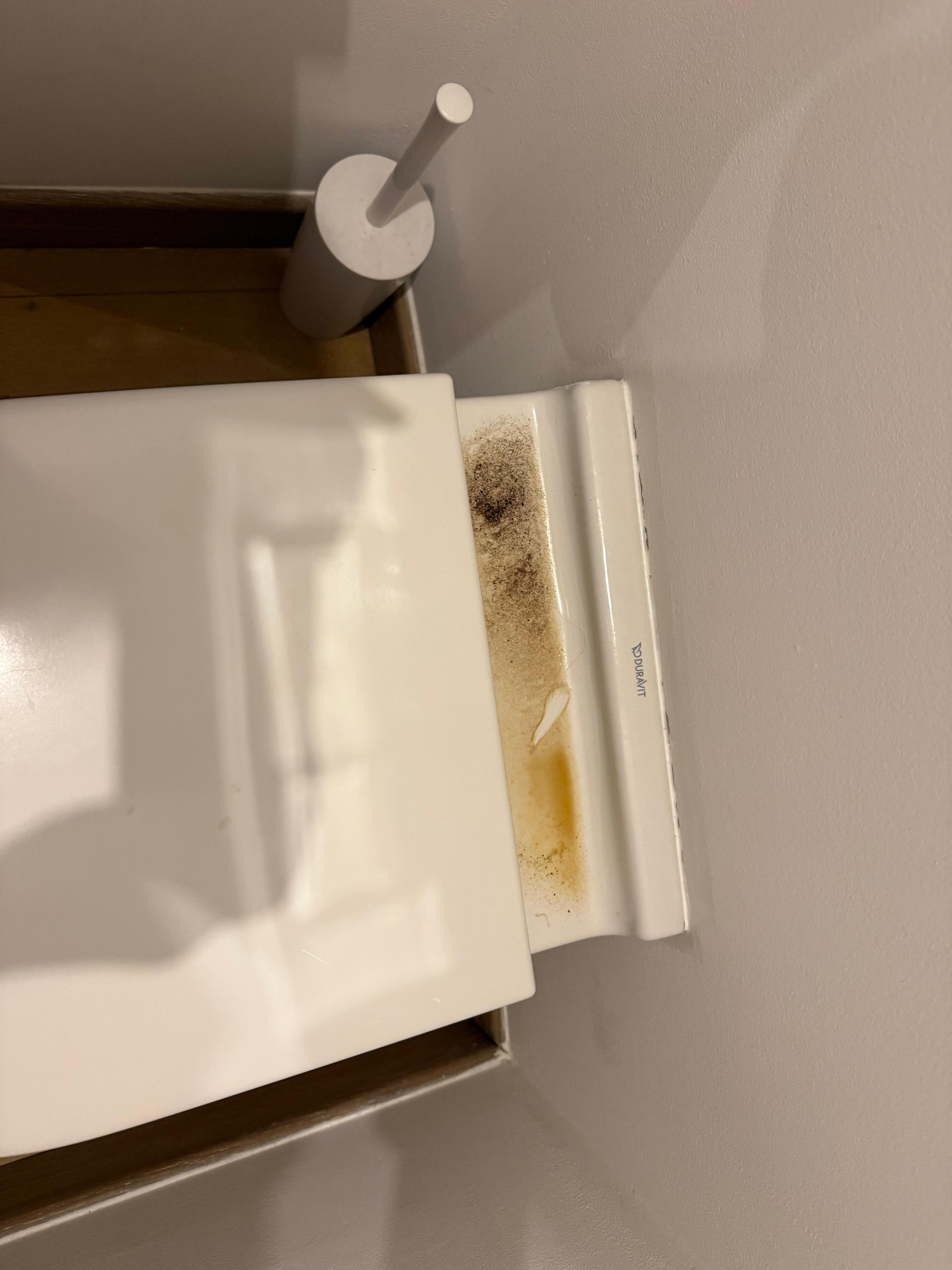 Toilet after she cleaned same day. Disgusting