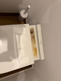 Toilet after she cleaned same day. Disgusting