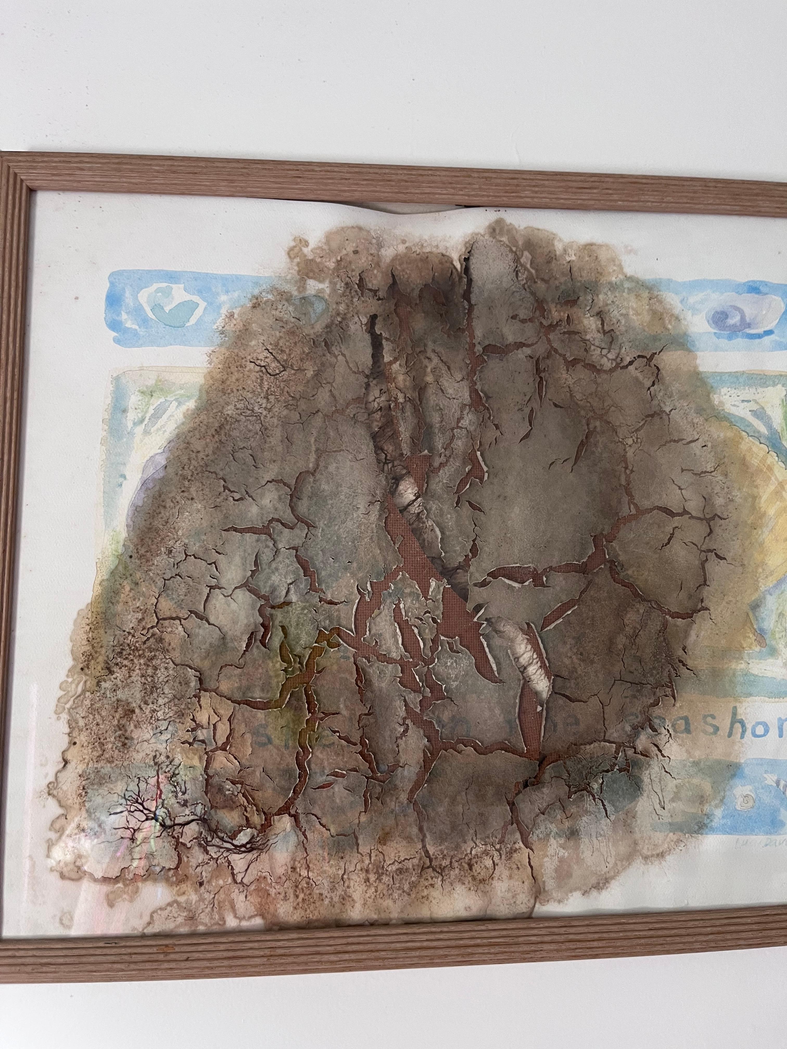 quadro destruido pelo mofo