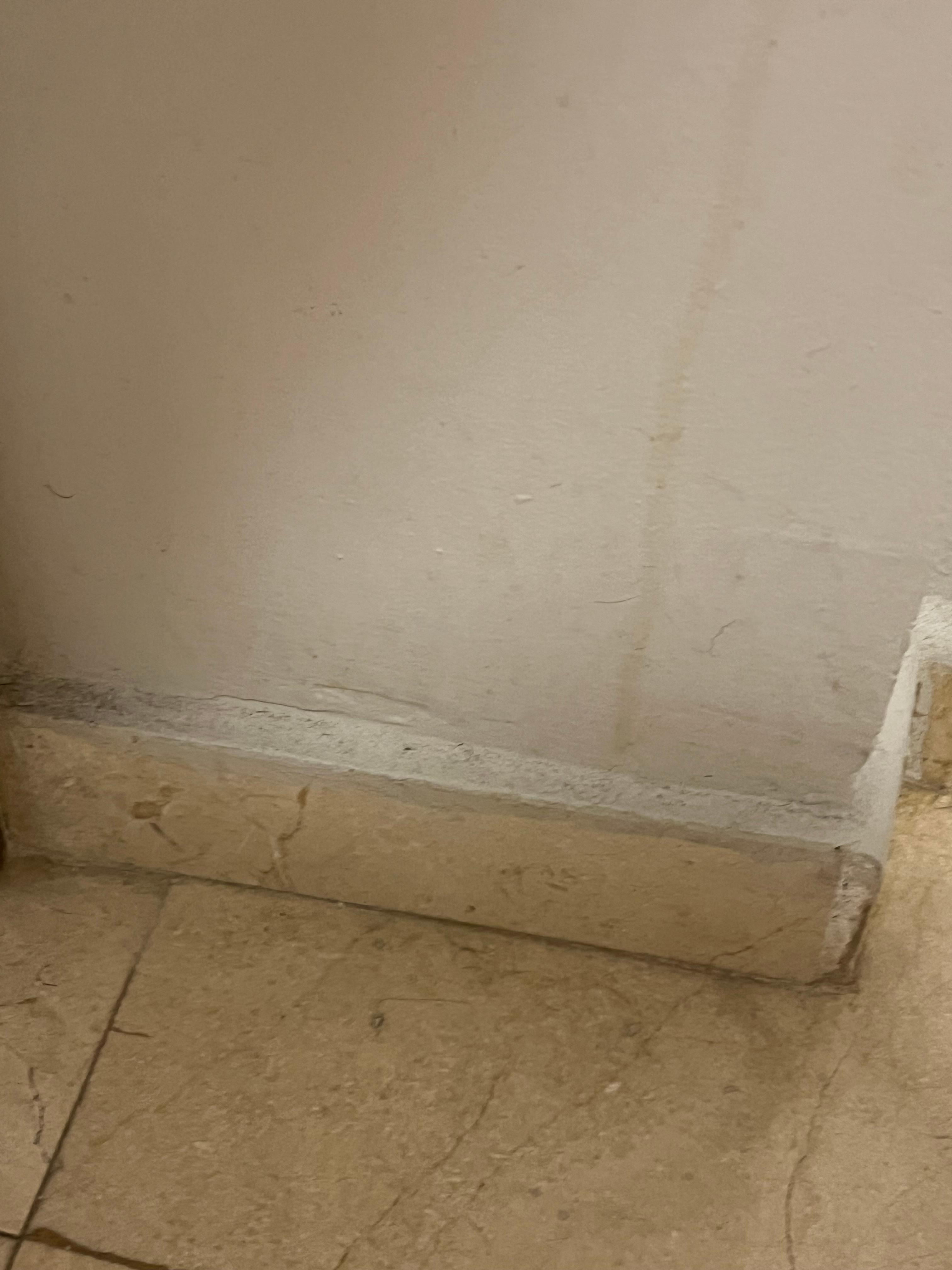 Coulisses sur les. murs de la salle de bain