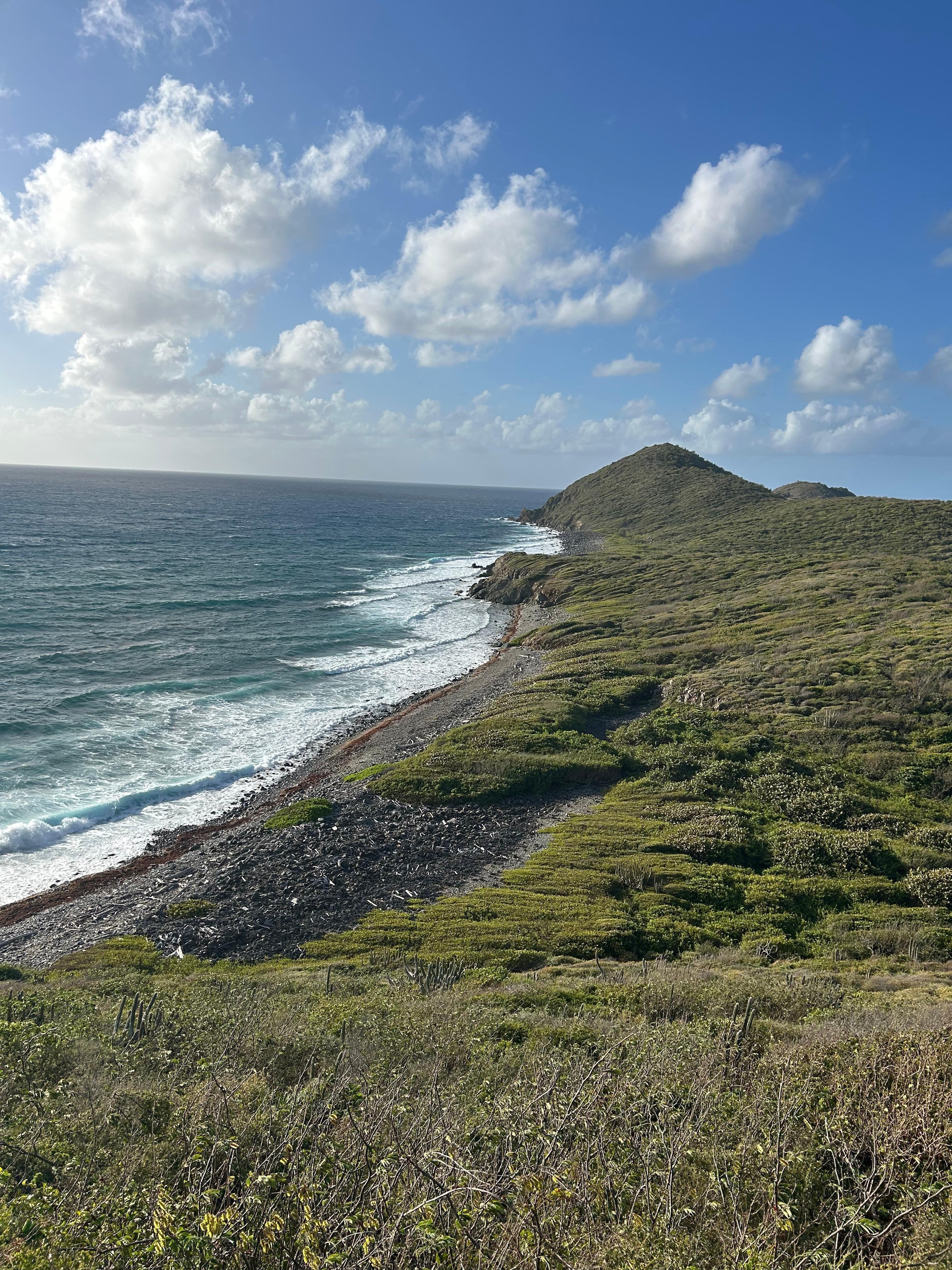 View from treehouse P14