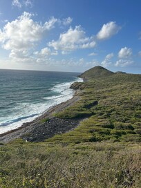 View from treehouse P14