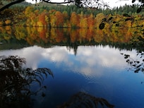 Easy woodland walk from hotel on good paths.