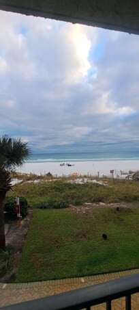 Sweet Gulf view!