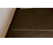 Carpet with various snags and burns