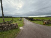 Driveway leading to the farm from the main road.