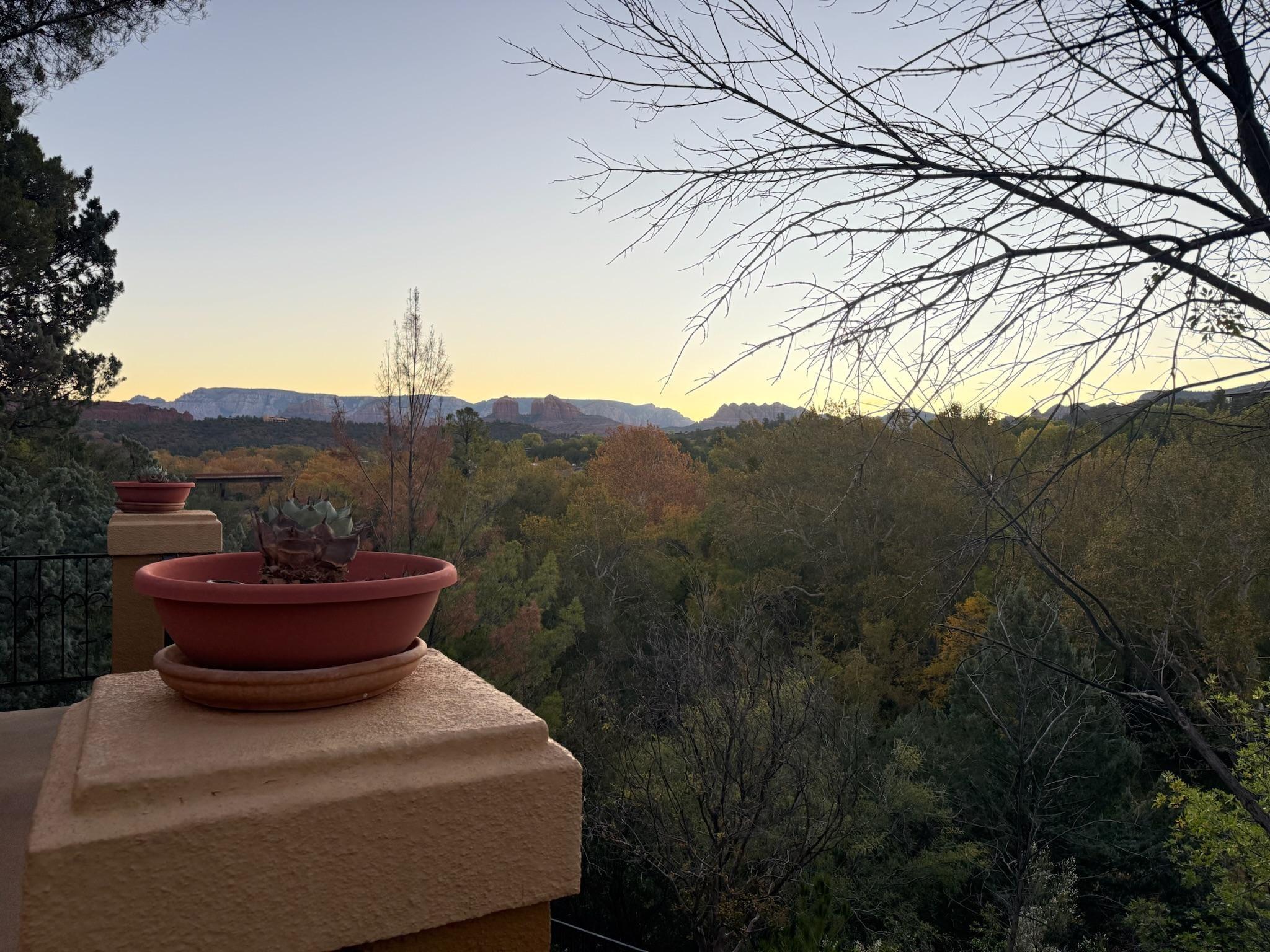 Early morning from the deck