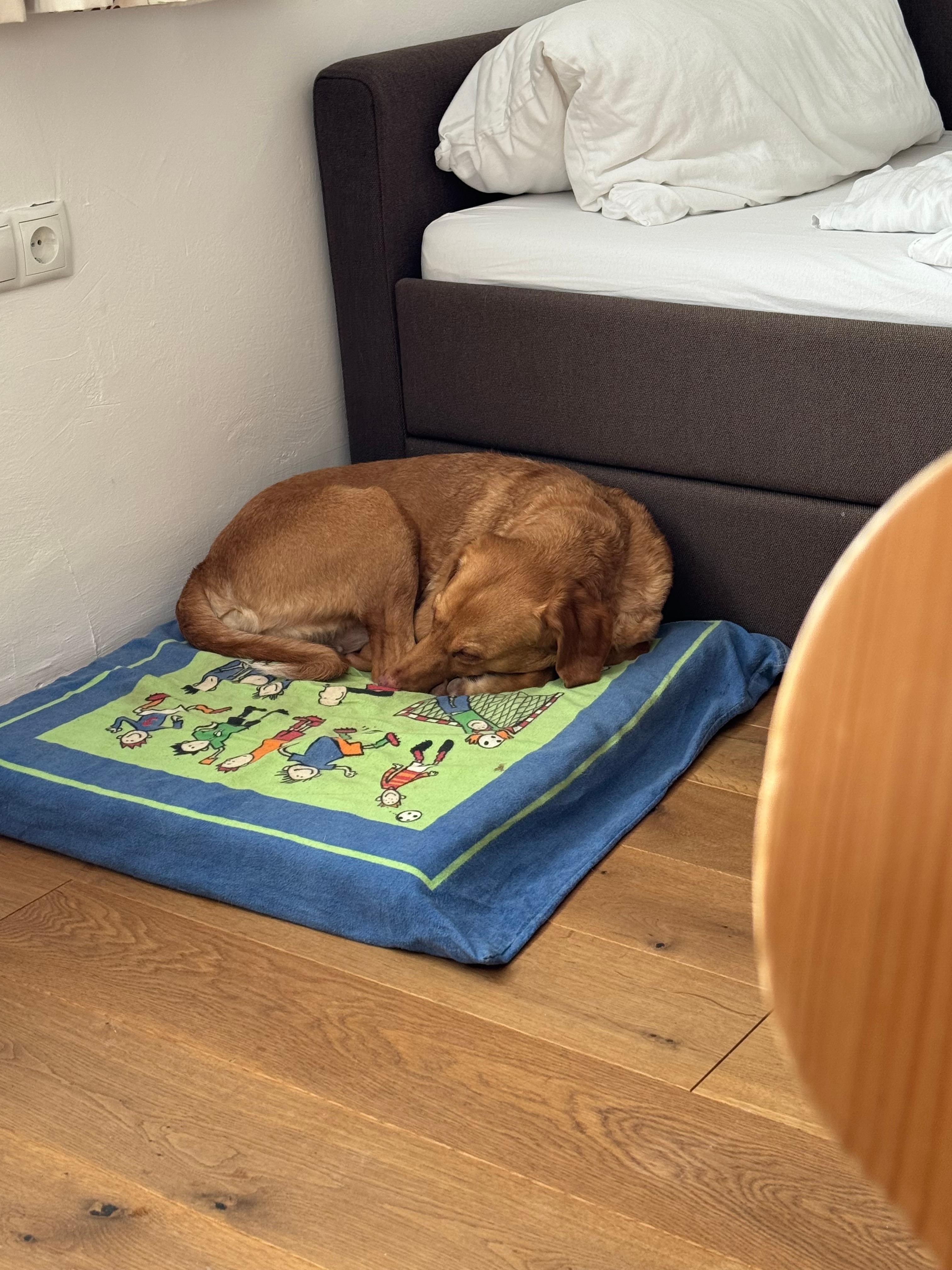 Sehr hundefreundlich