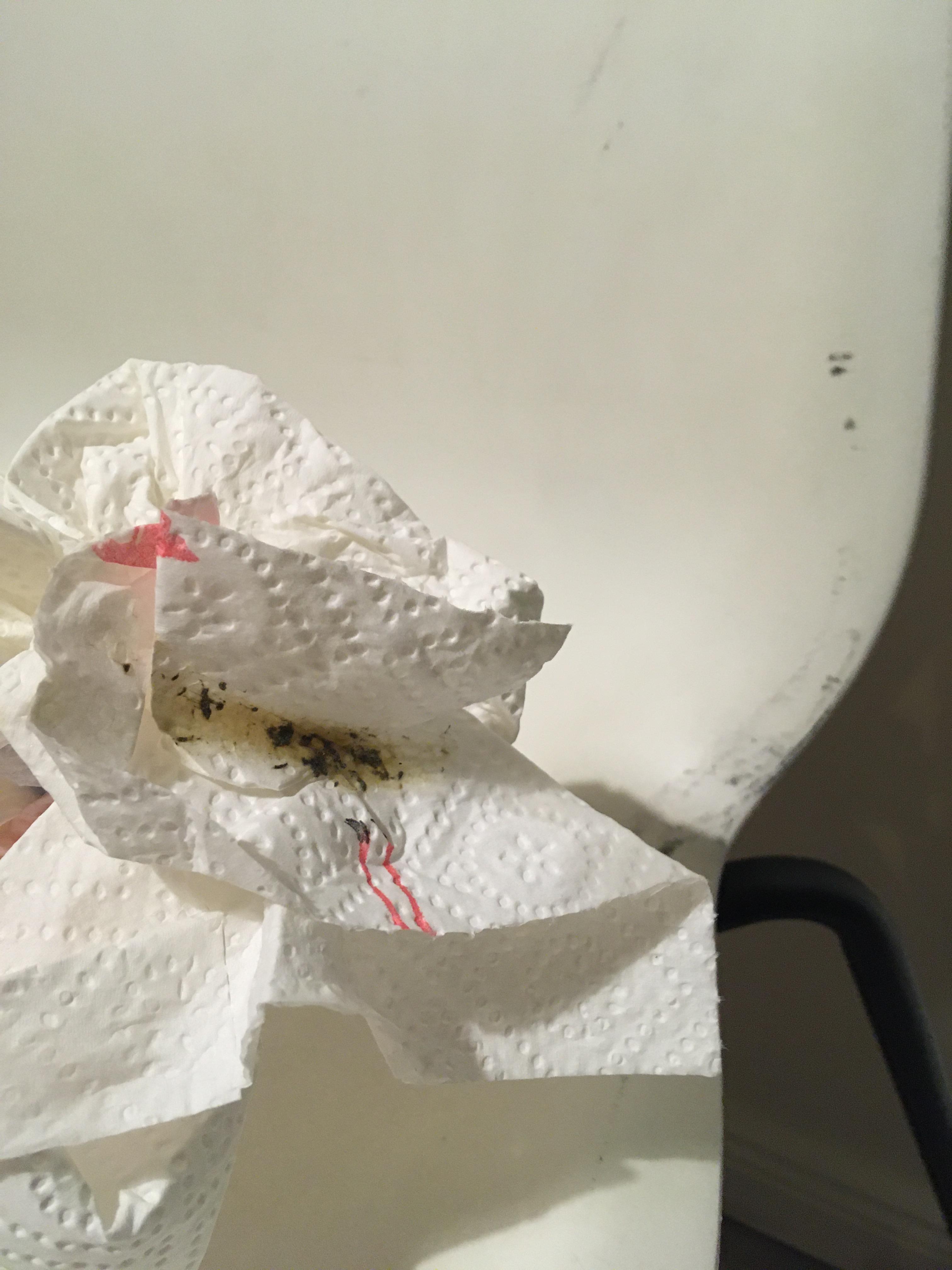 Einmal über den Kühlschrank gewischt