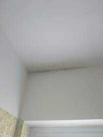 Mold