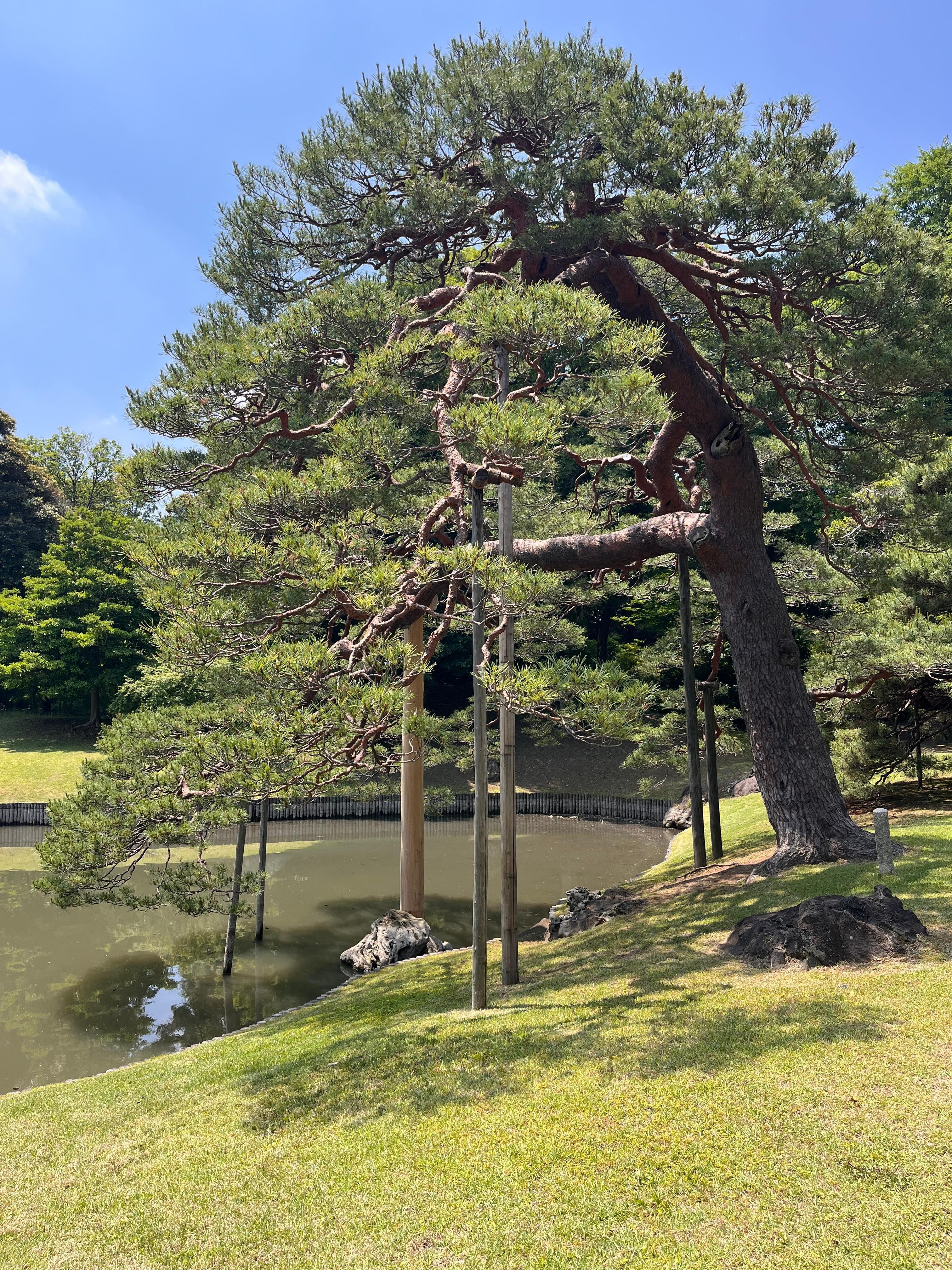 Rikugien 