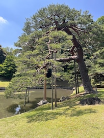 Rikugien
