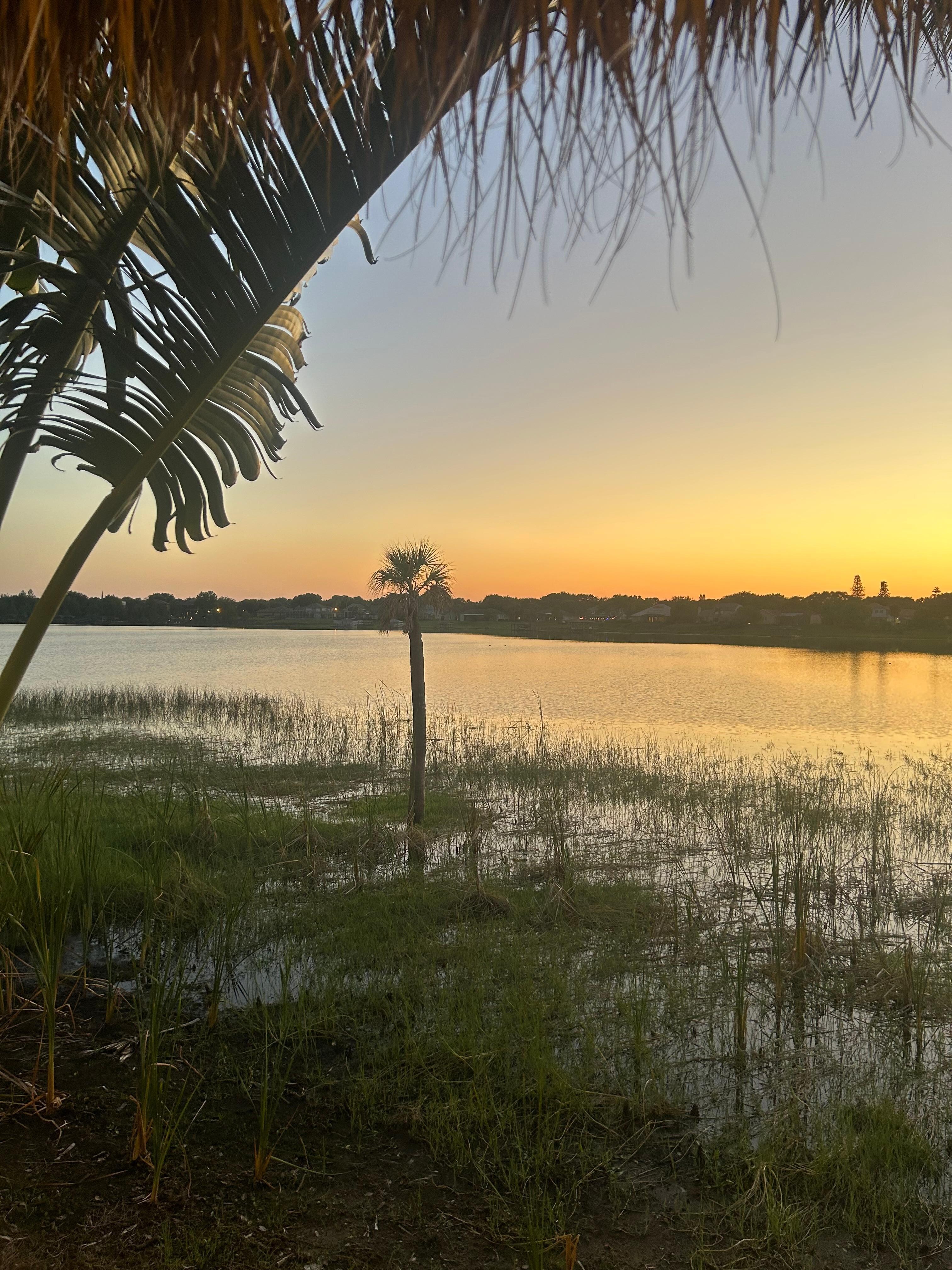The hotel has a small private island. It is so nice out there. Sunsets are beautiful too.