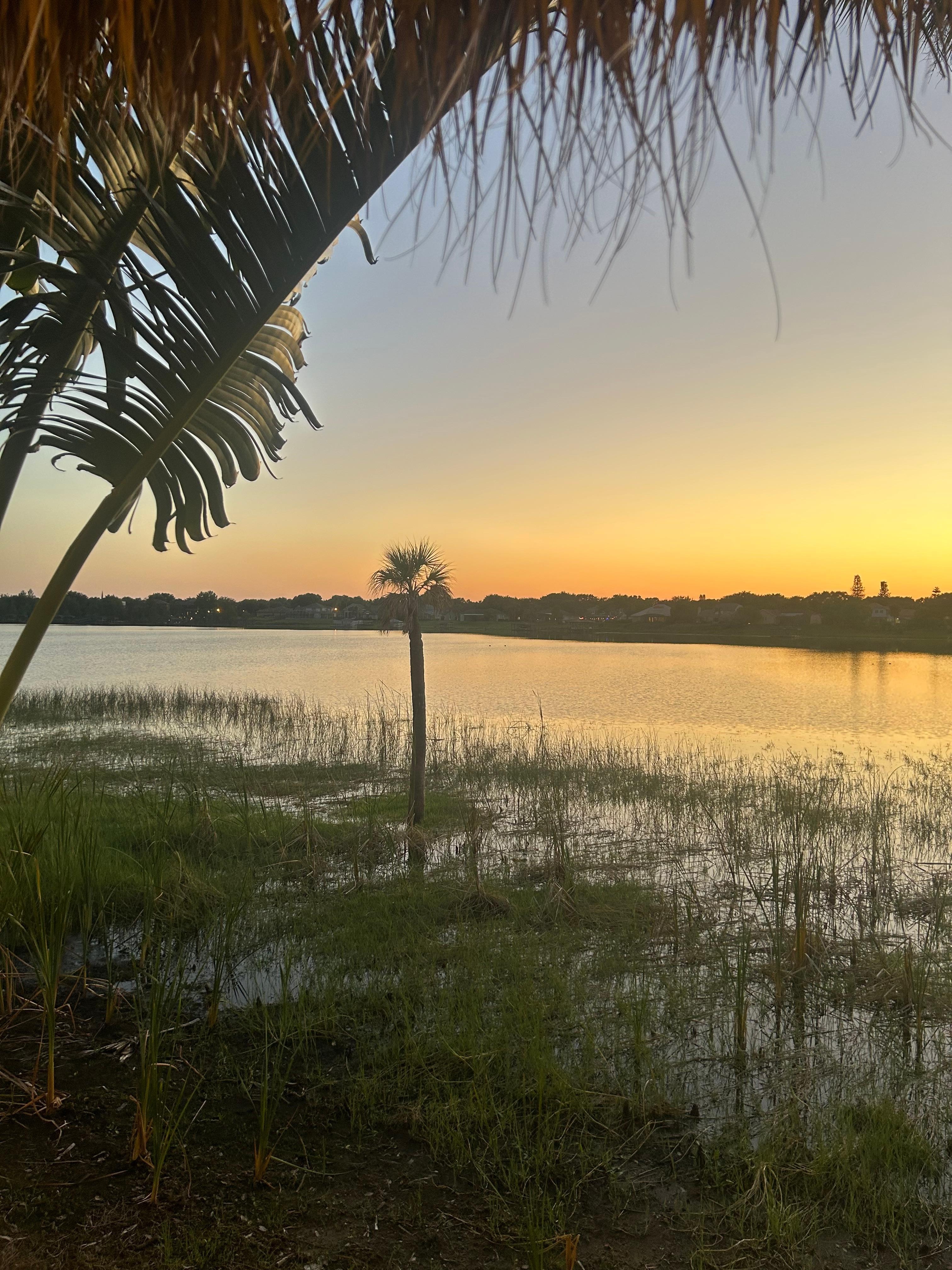 The hotel has a small private island. It is so nice out there. Sunsets are beautiful too.