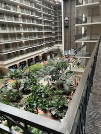 Indoor oasis