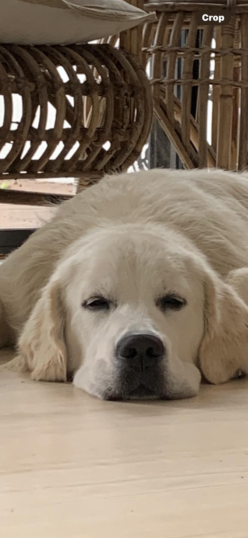 After the beach visit