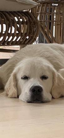 After the beach visit