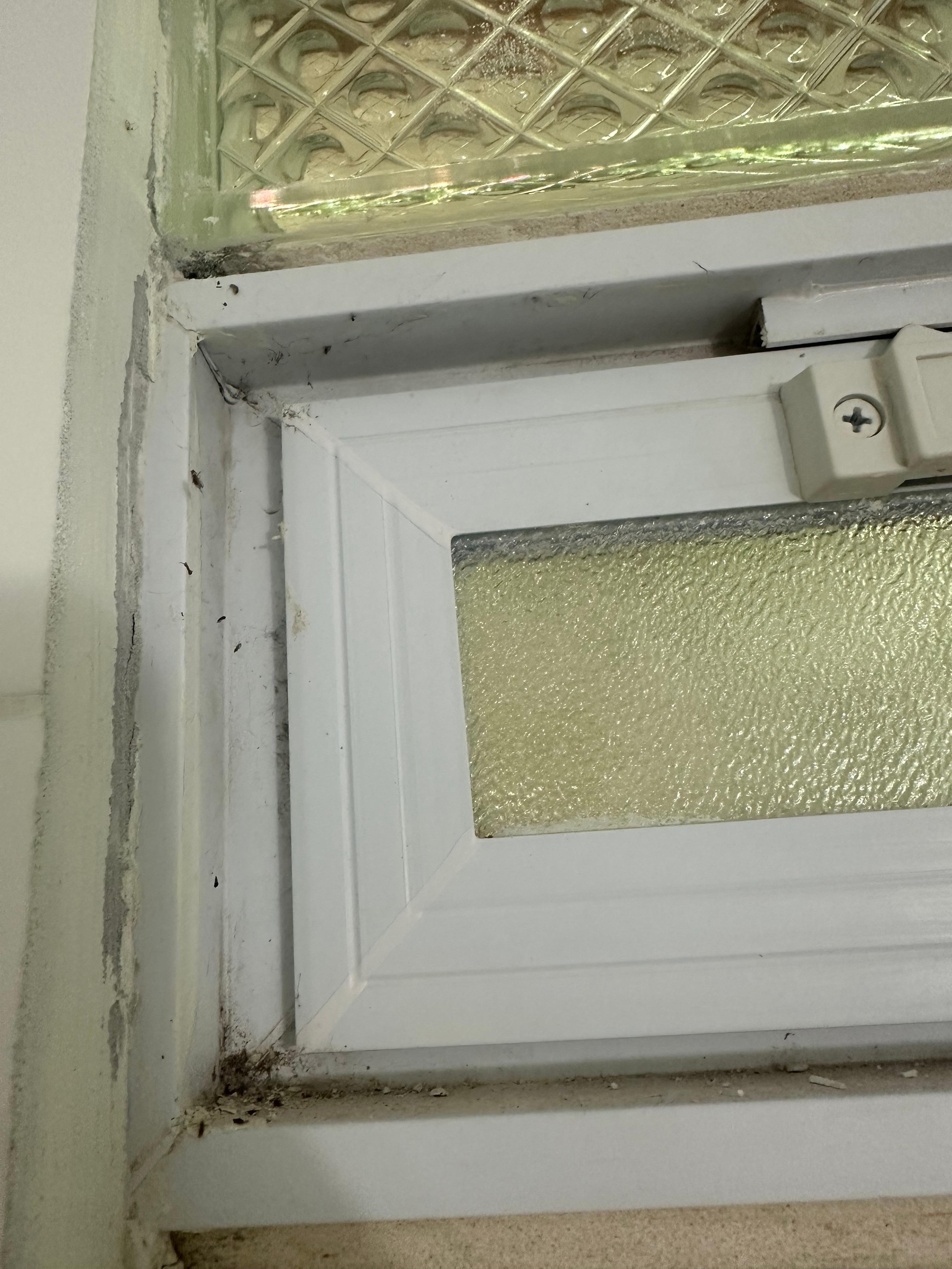 Dirty bathroom window