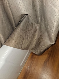 Moldy shower curtain