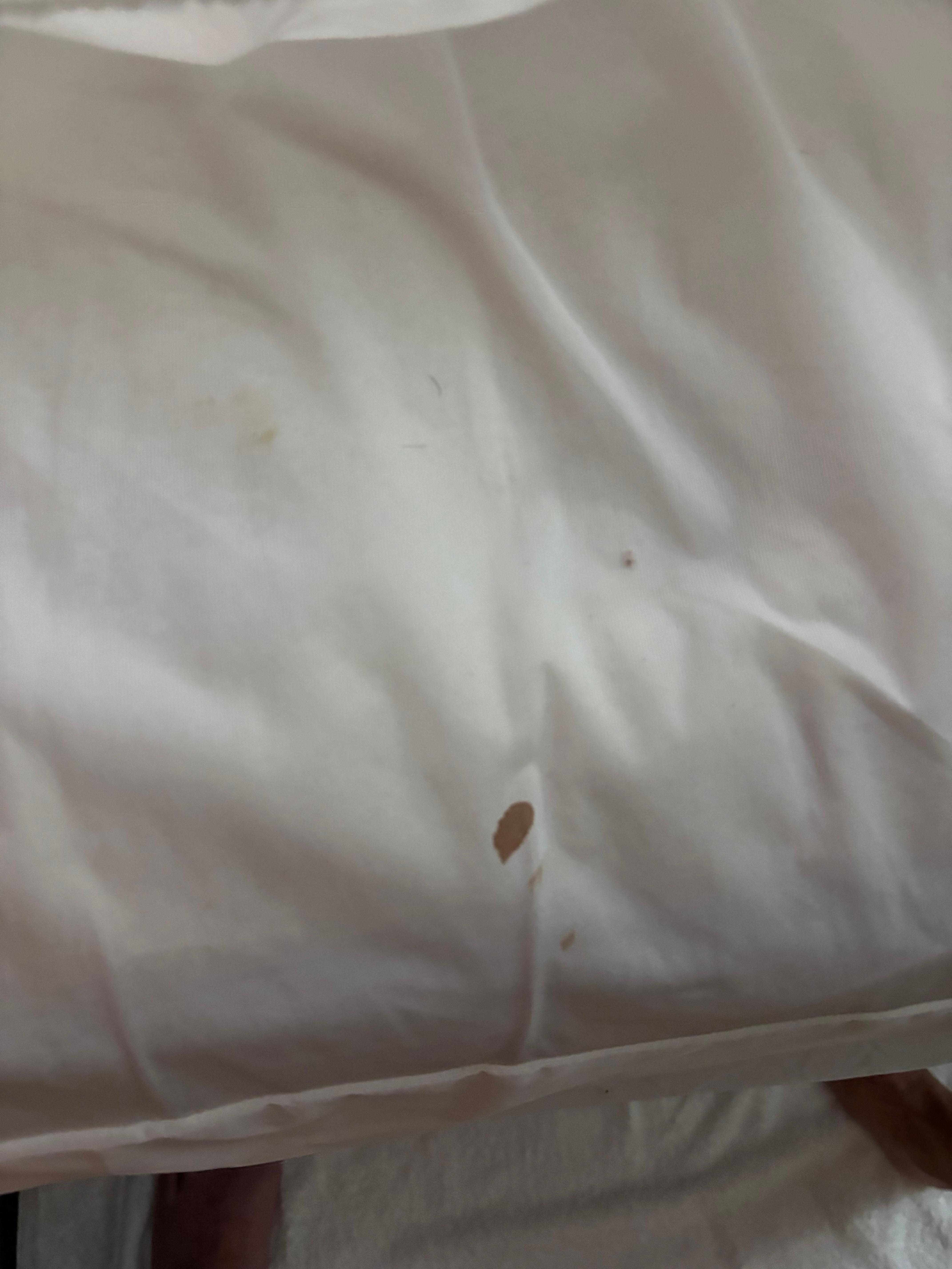 Dryer blood on the mattress 