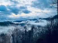 Morning view in the Smokeys