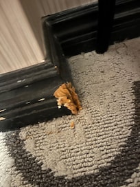 Looks like a dog chewed this trim