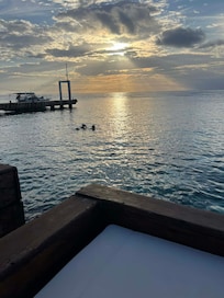 View every evening