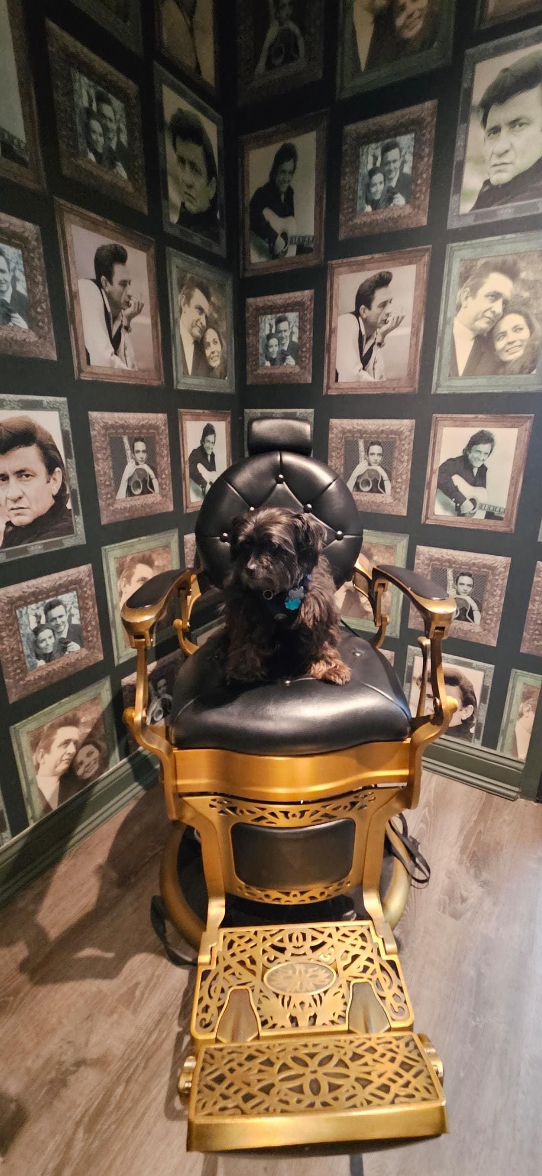 Dog friendliest! My pup Ozzy Rockstar loved it! Here he is in the Johnny Cash Room.
