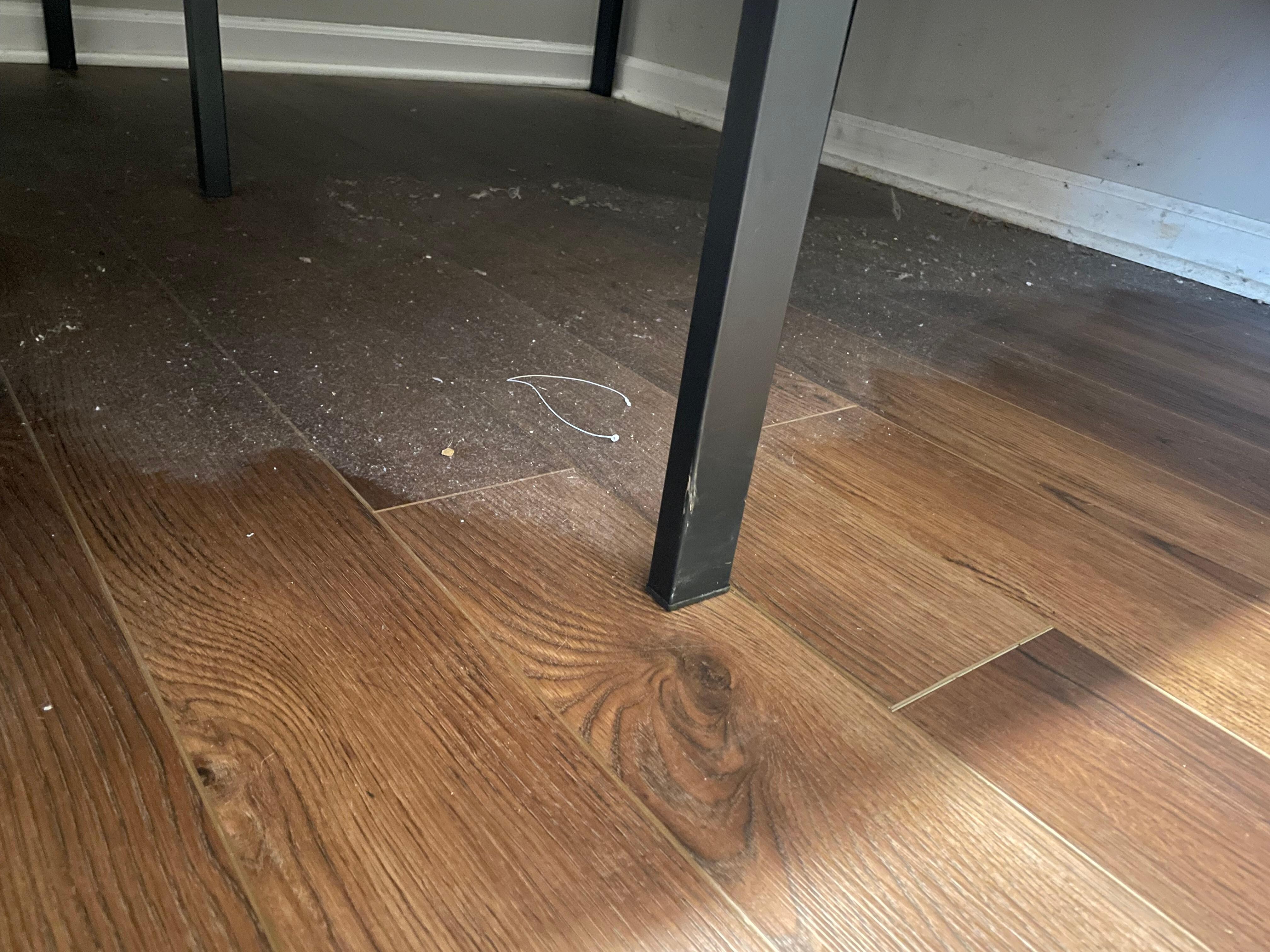 Under the bed was very dirty.