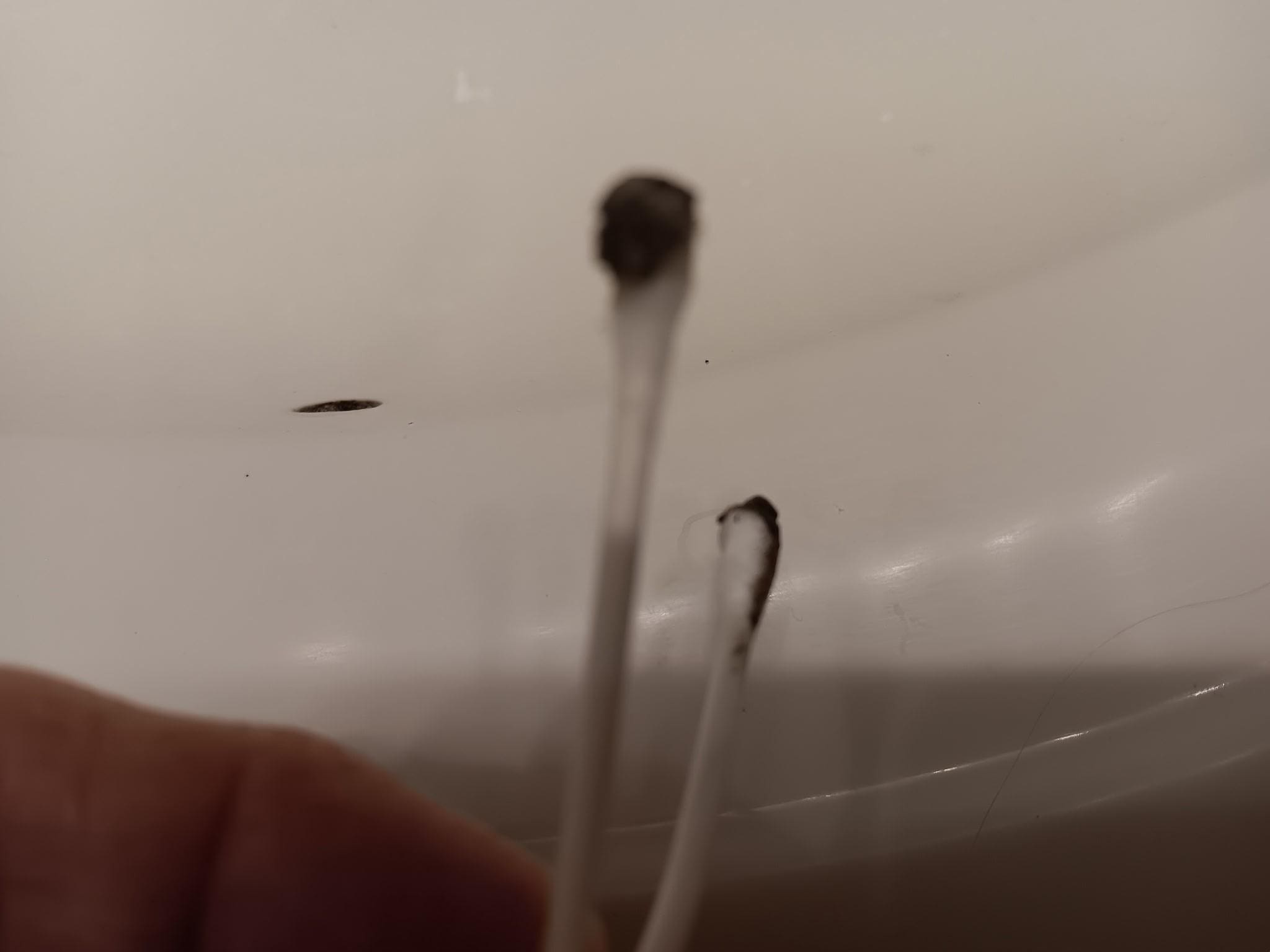 Sample of black mold, in case I get sick.