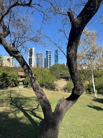 A lado del fenomenal parque Rufino Tamayo