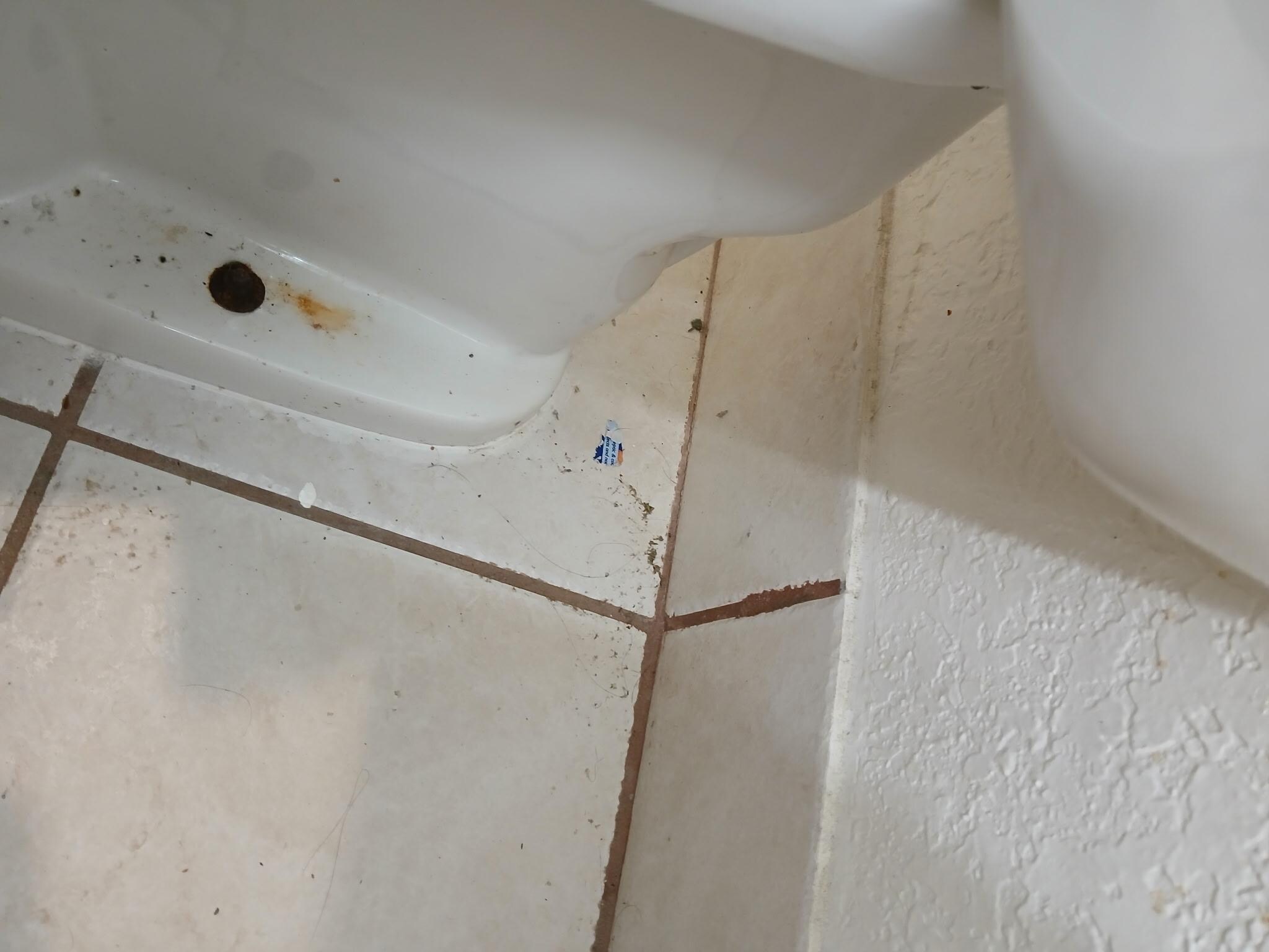 Mold in bathroom 