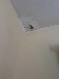 Patched Leak in Bedroom