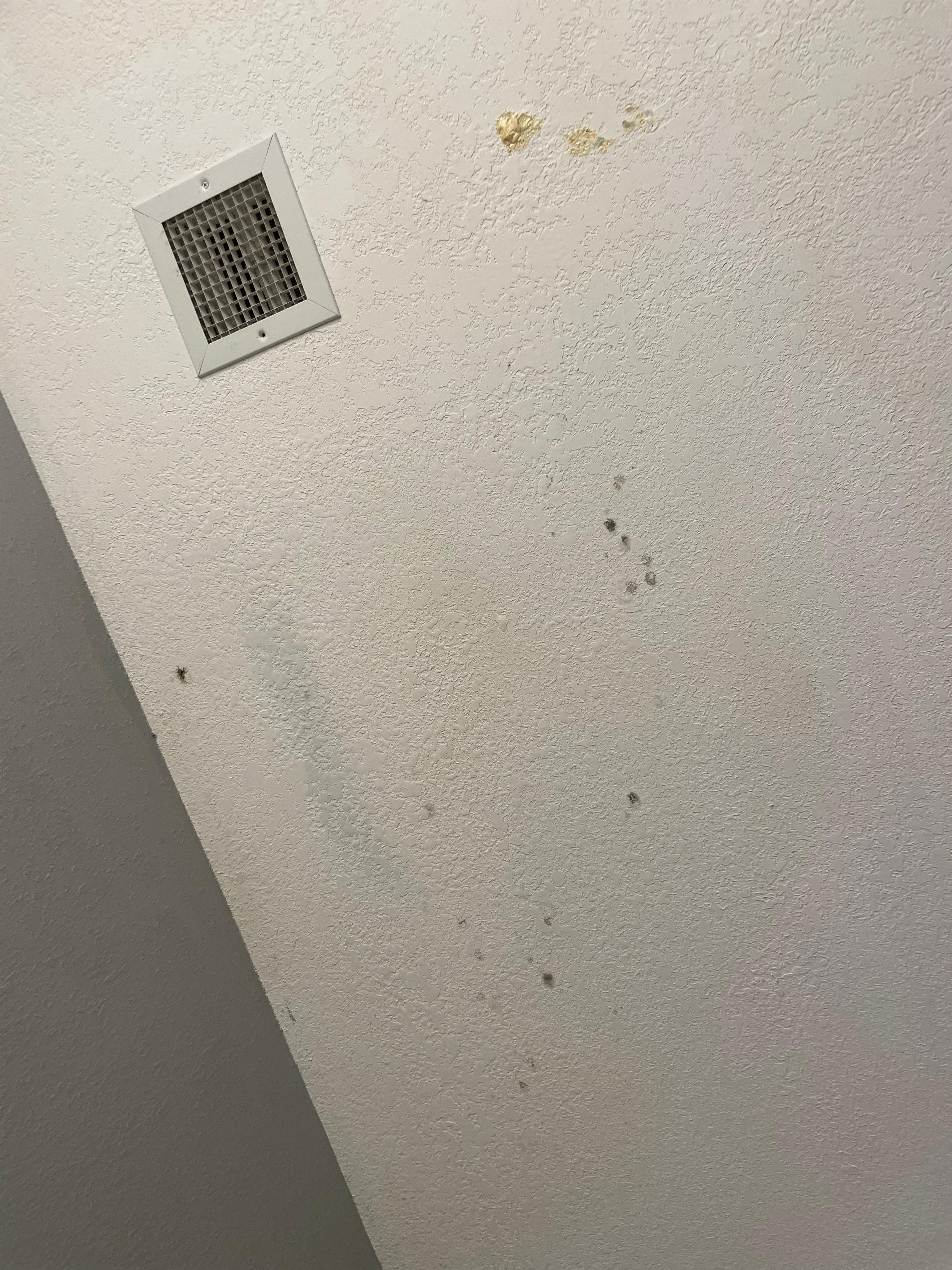 Bathroom ceiling