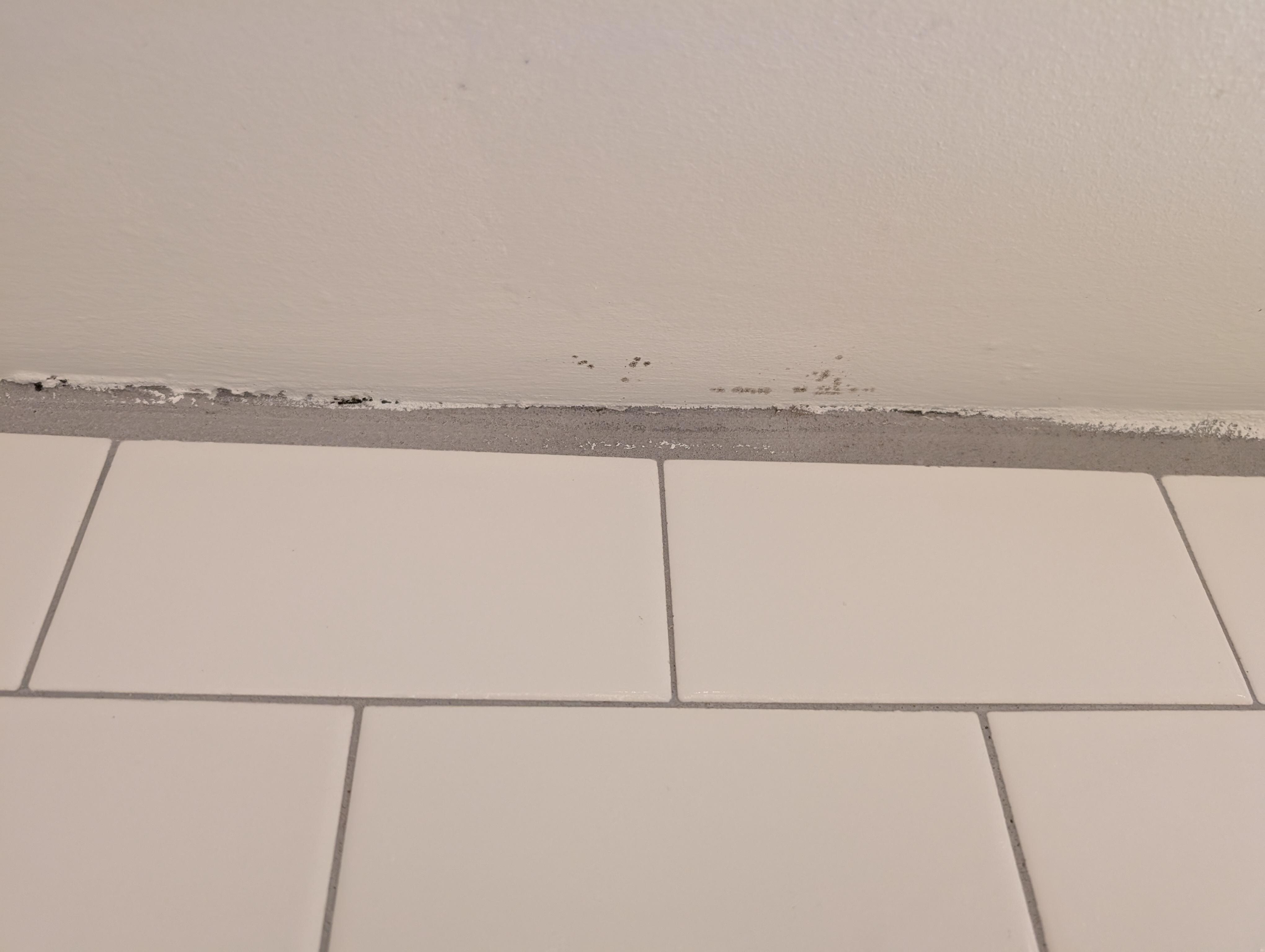 Mold