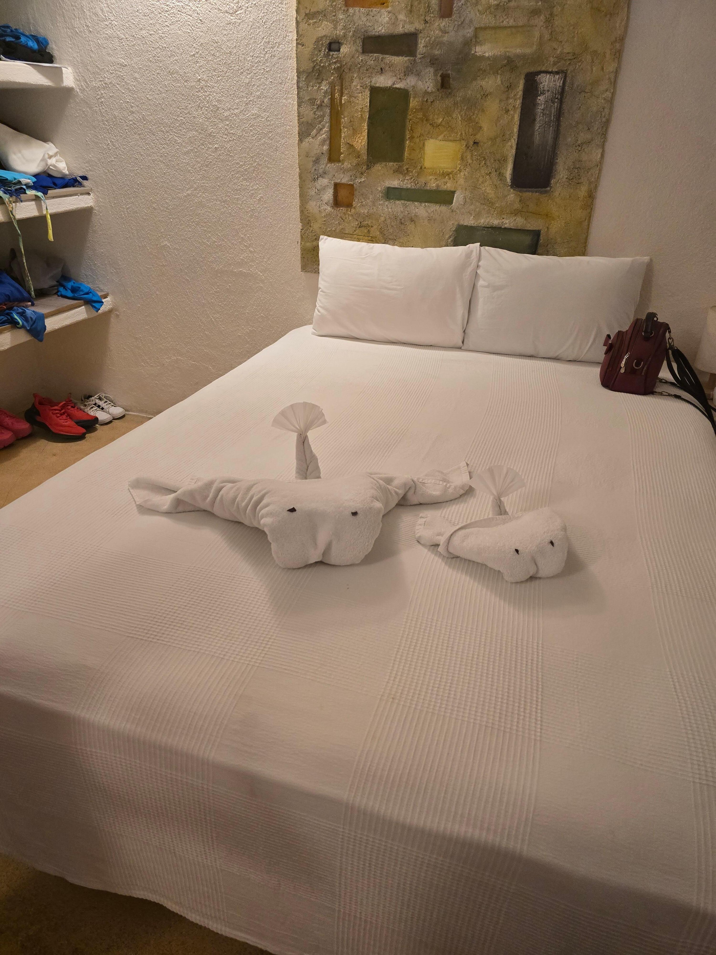 La señora de la limpieza excelente  trabajo al cuarto muy limpio todos los días 