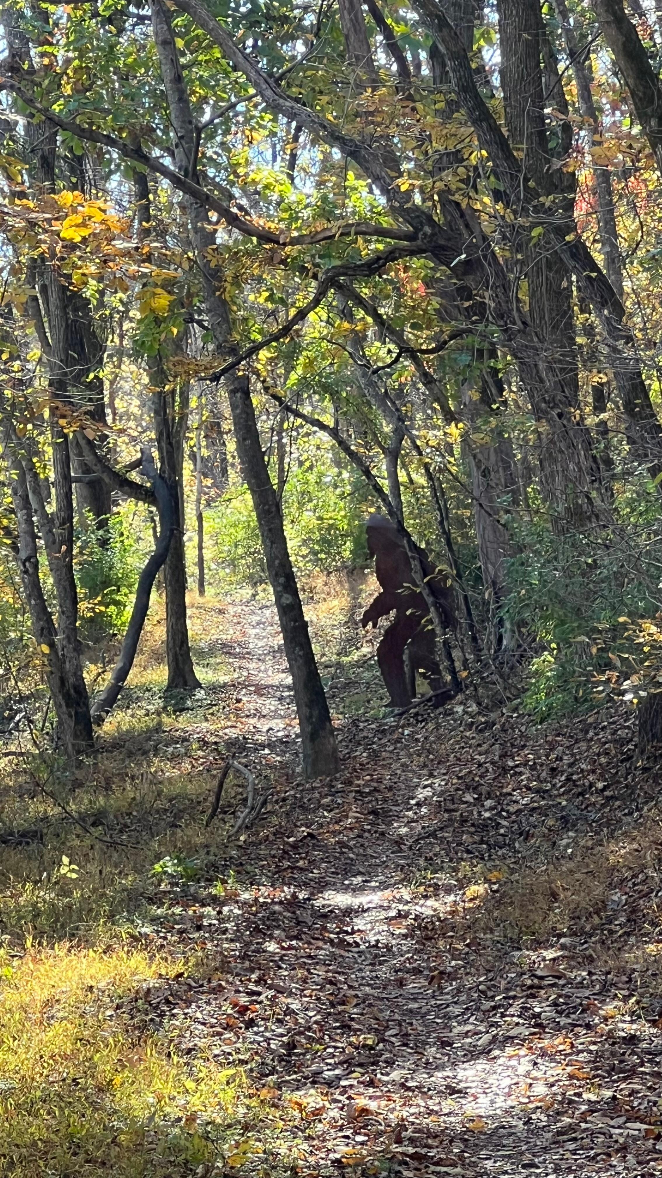 Watch out for Bigfoot on the Tweety Bird Trail! 