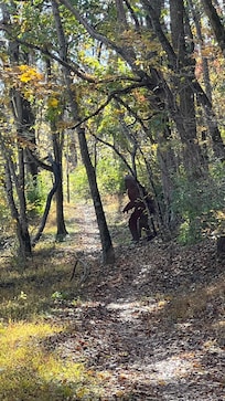 Watch out for Bigfoot on the Tweety Bird Trail!