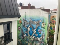 Вид из окна