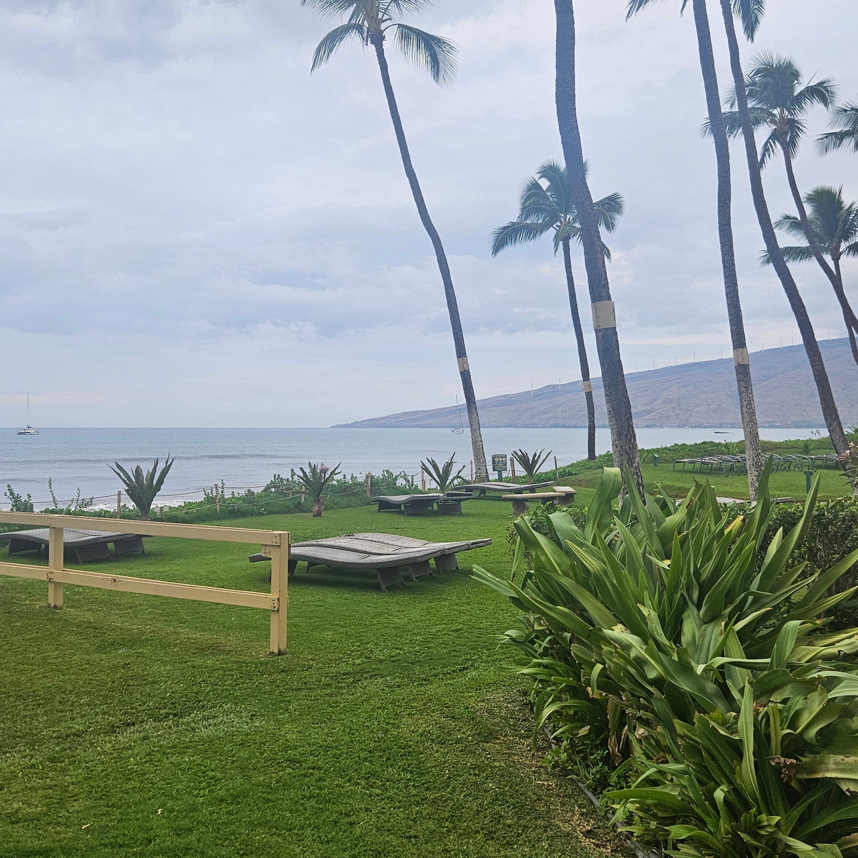 Taken from the doorway of the unit. 