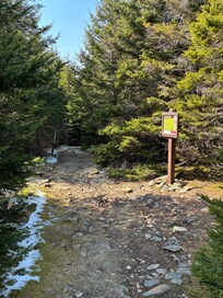 Silver Creek Loop Trail 3+ mi.