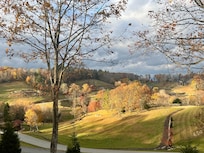 View from back porch.