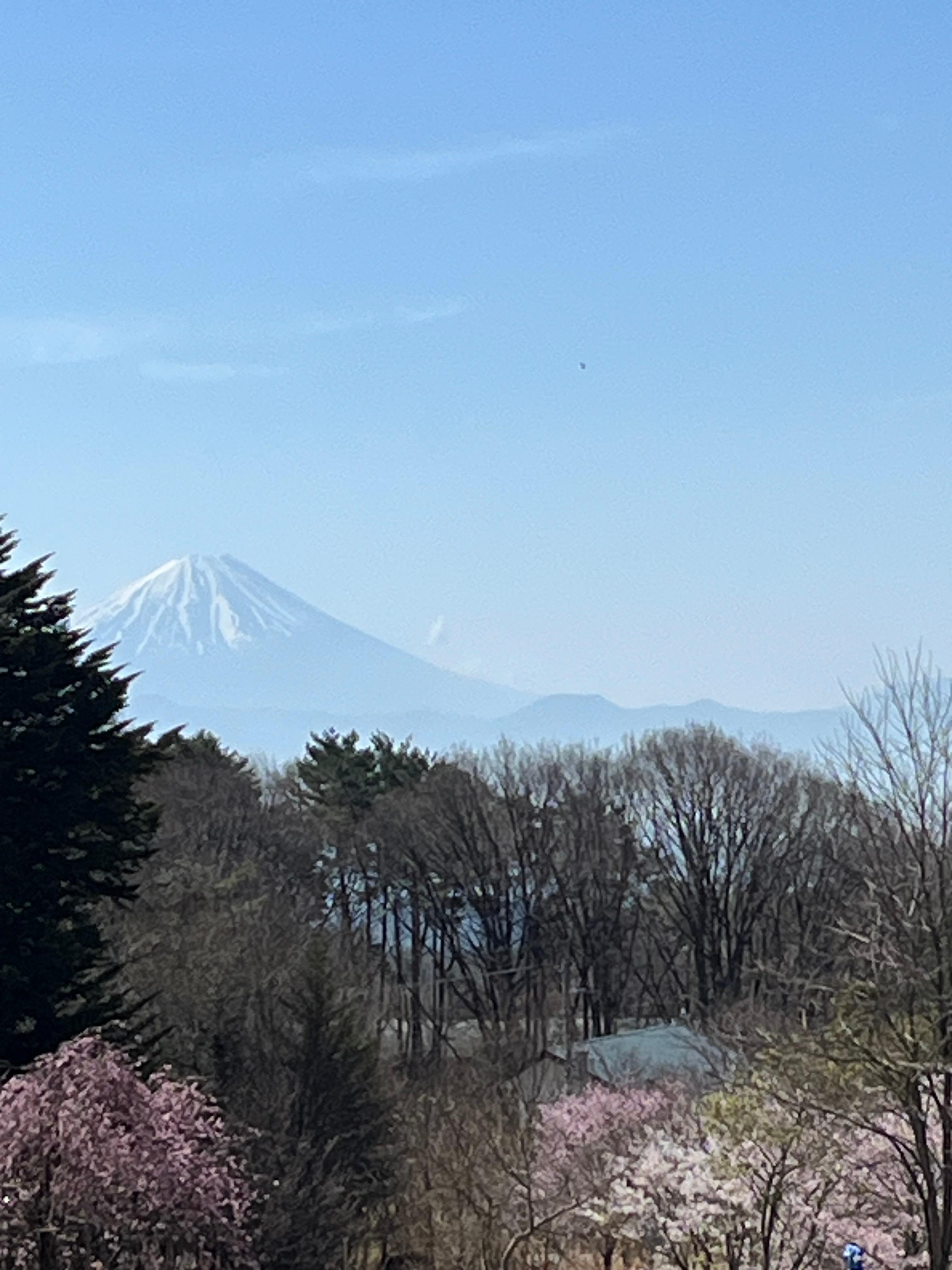 Mt. Fuji view from the hotel